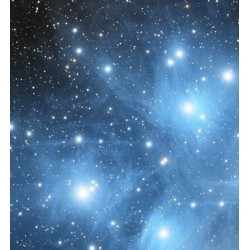 Masque aigrettes pour lunettes.